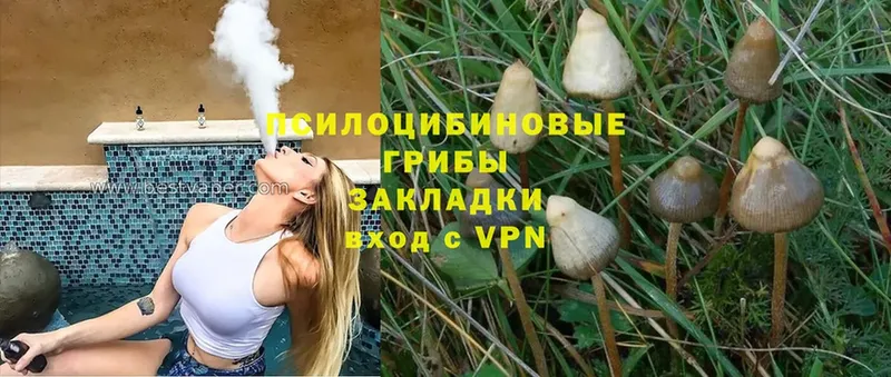 mega как войти  Горнозаводск  Галлюциногенные грибы Magic Shrooms  купить  цена 